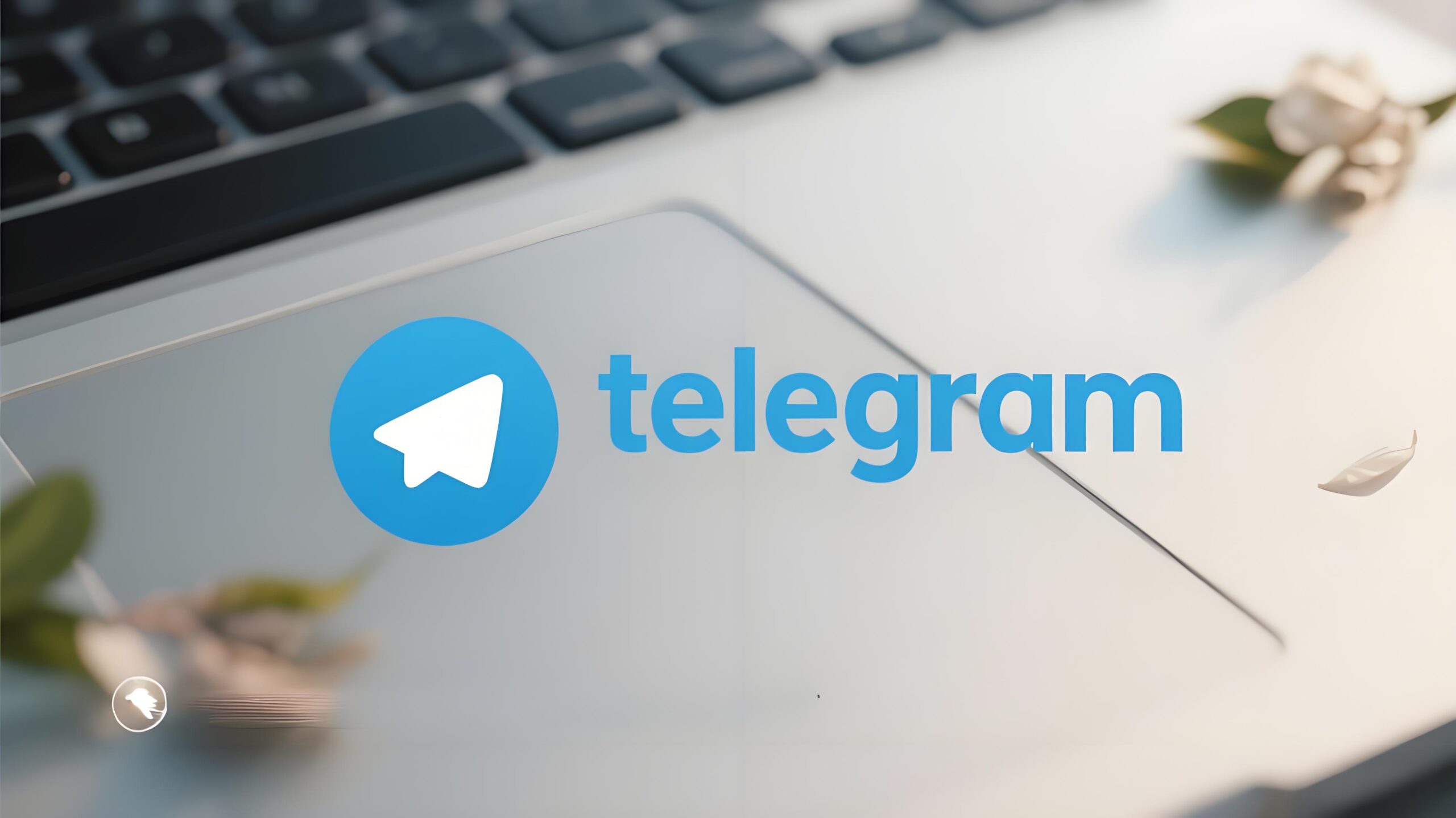 最新版Telegram有什么变化？2个功能让人直呼好用