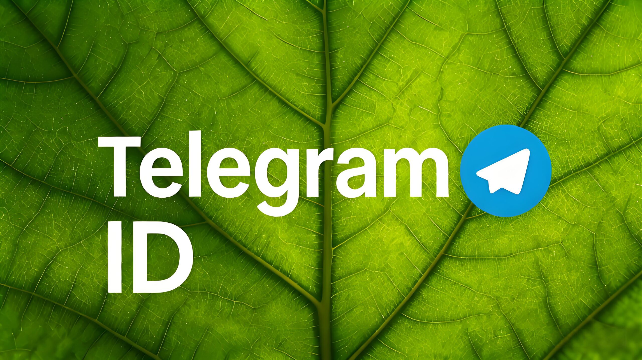 Telegram ID有什么用？功能与应用场景