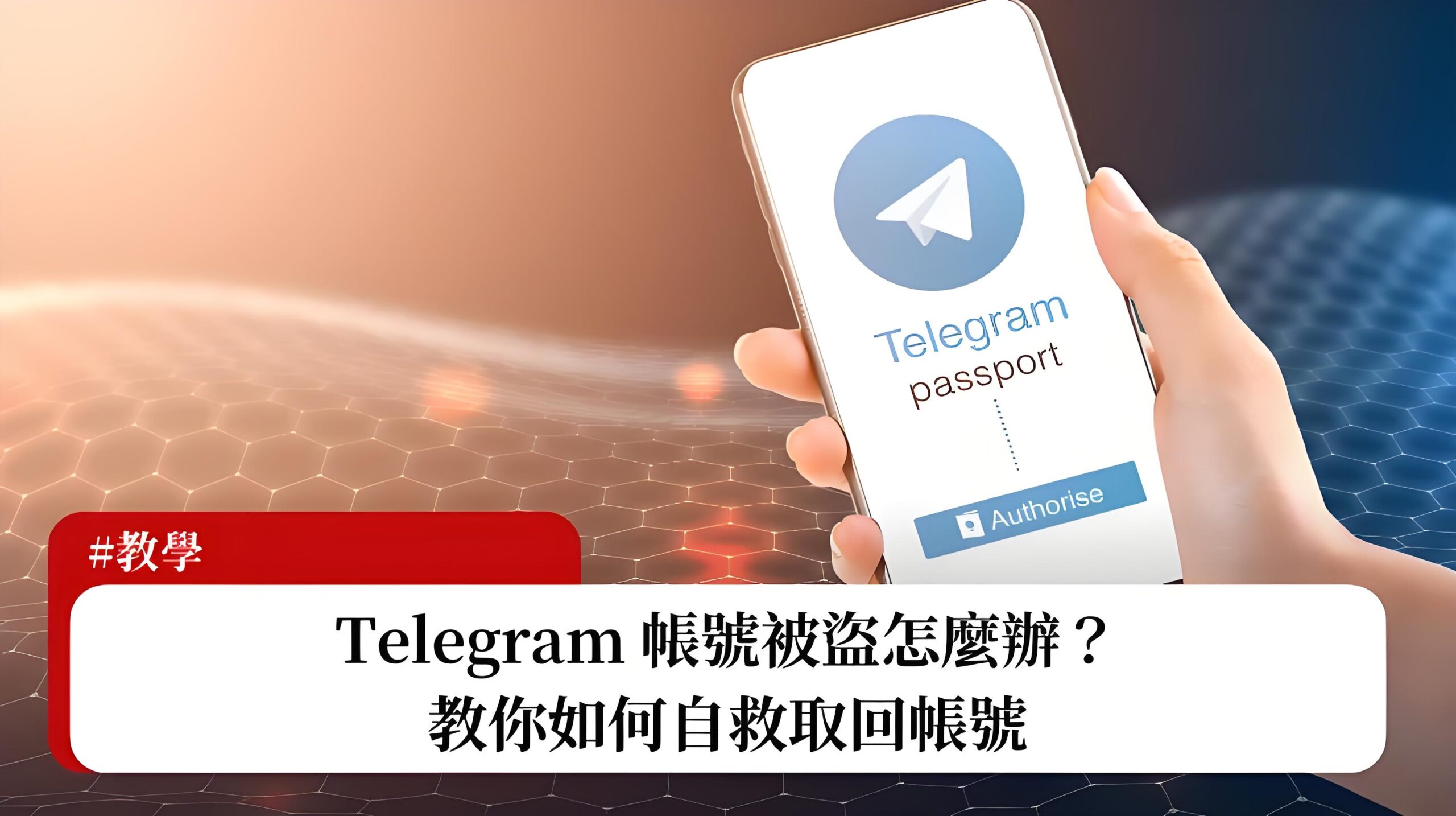 电报被盗如何找回？