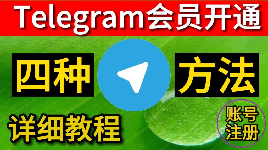如何快速开通Telegram会员？