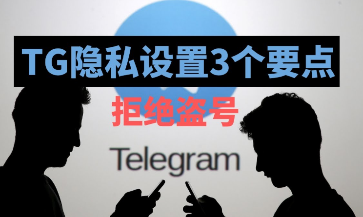 Telegram隐私空间怎么看